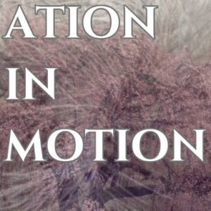 Translation in Motion